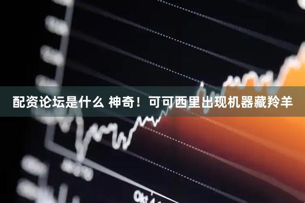 配资论坛是什么 神奇！可可西里出现机器藏羚羊