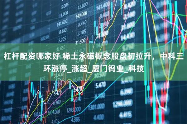 杠杆配资哪家好 稀土永磁概念股盘初拉升，中科三环涨停_涨超_厦门钨业_科技