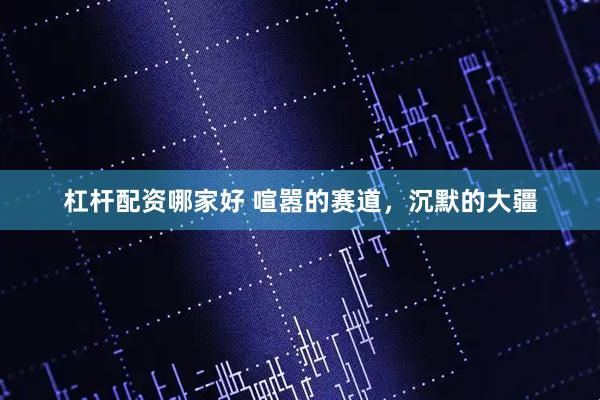 杠杆配资哪家好 喧嚣的赛道，沉默的大疆